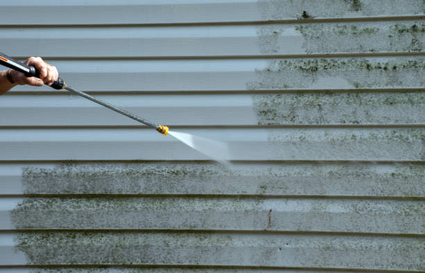 Best Gutter Cleaning and Brightening in Duncanville, TX